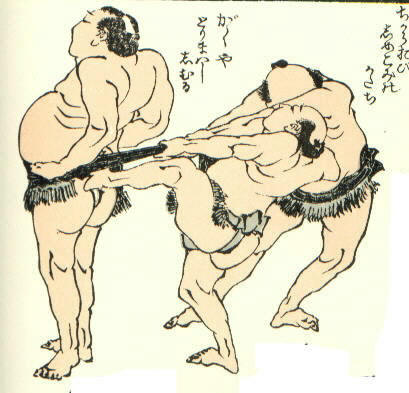Hokusai manga print